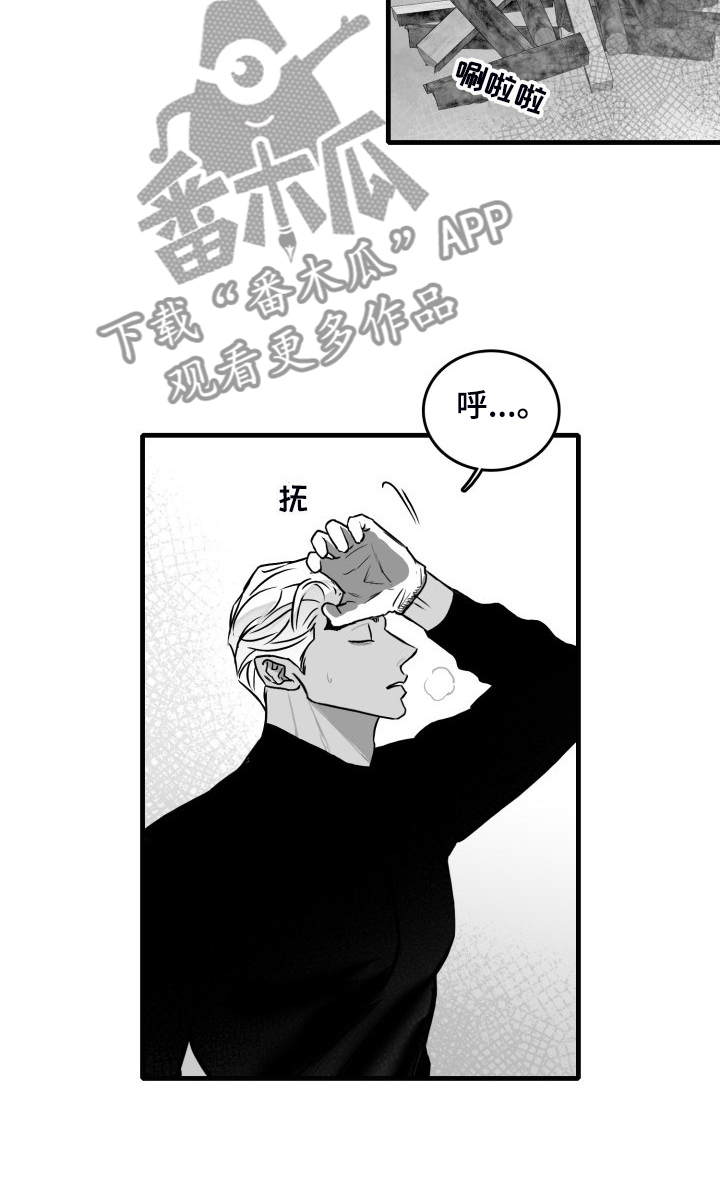 第92章：【第二季】悠哉的乡下3