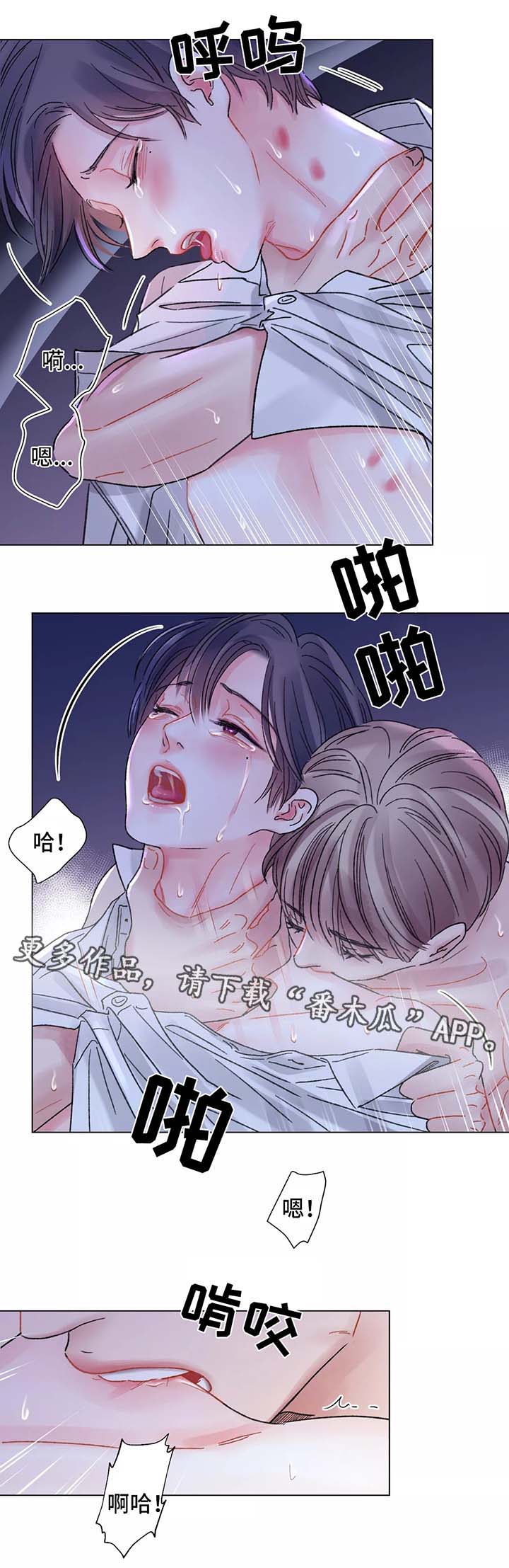 接纳者漫画,第51章：对不起1图