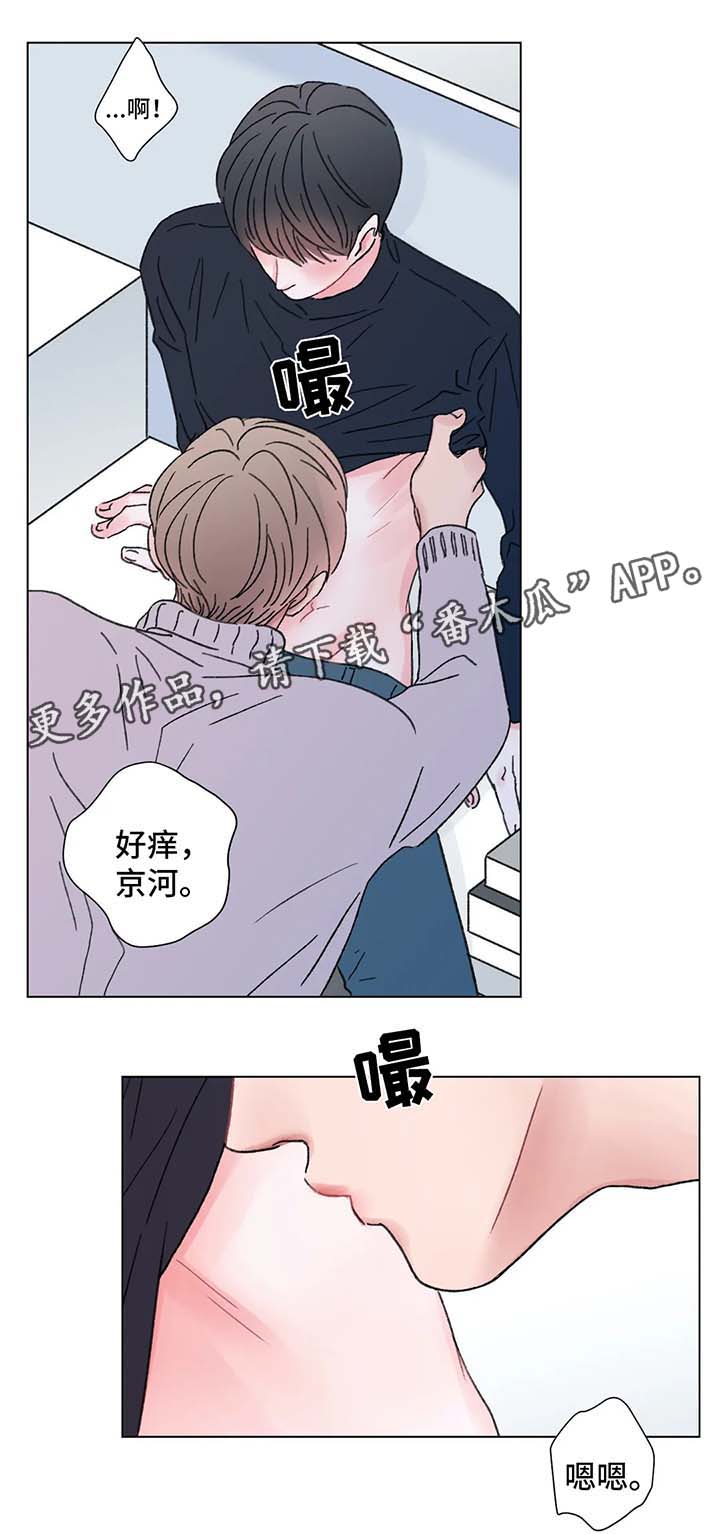 接纳者漫画,第56章：期待的结局1图