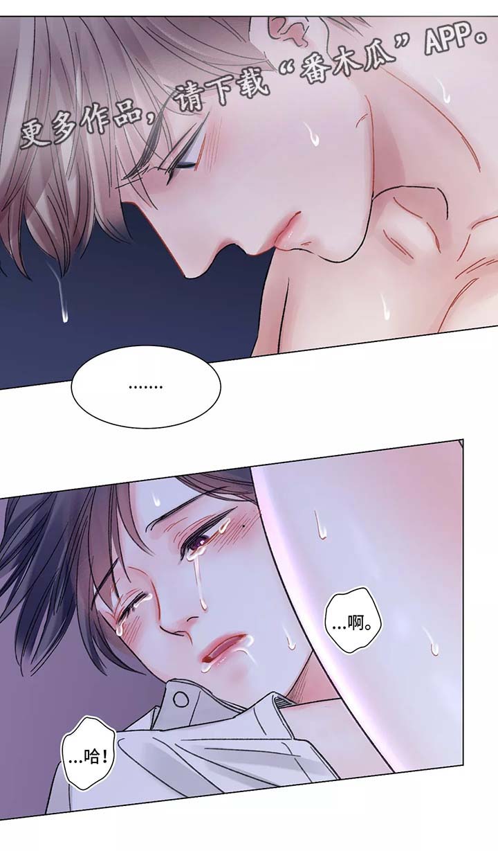 接纳者漫画,第51章：对不起5图