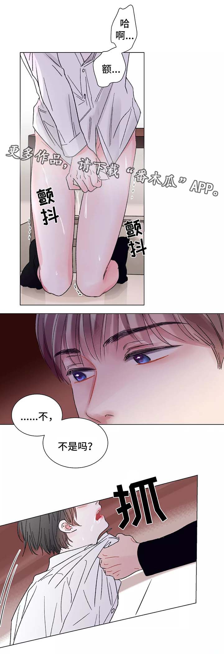 接纳者漫画,第50章：清醒3图