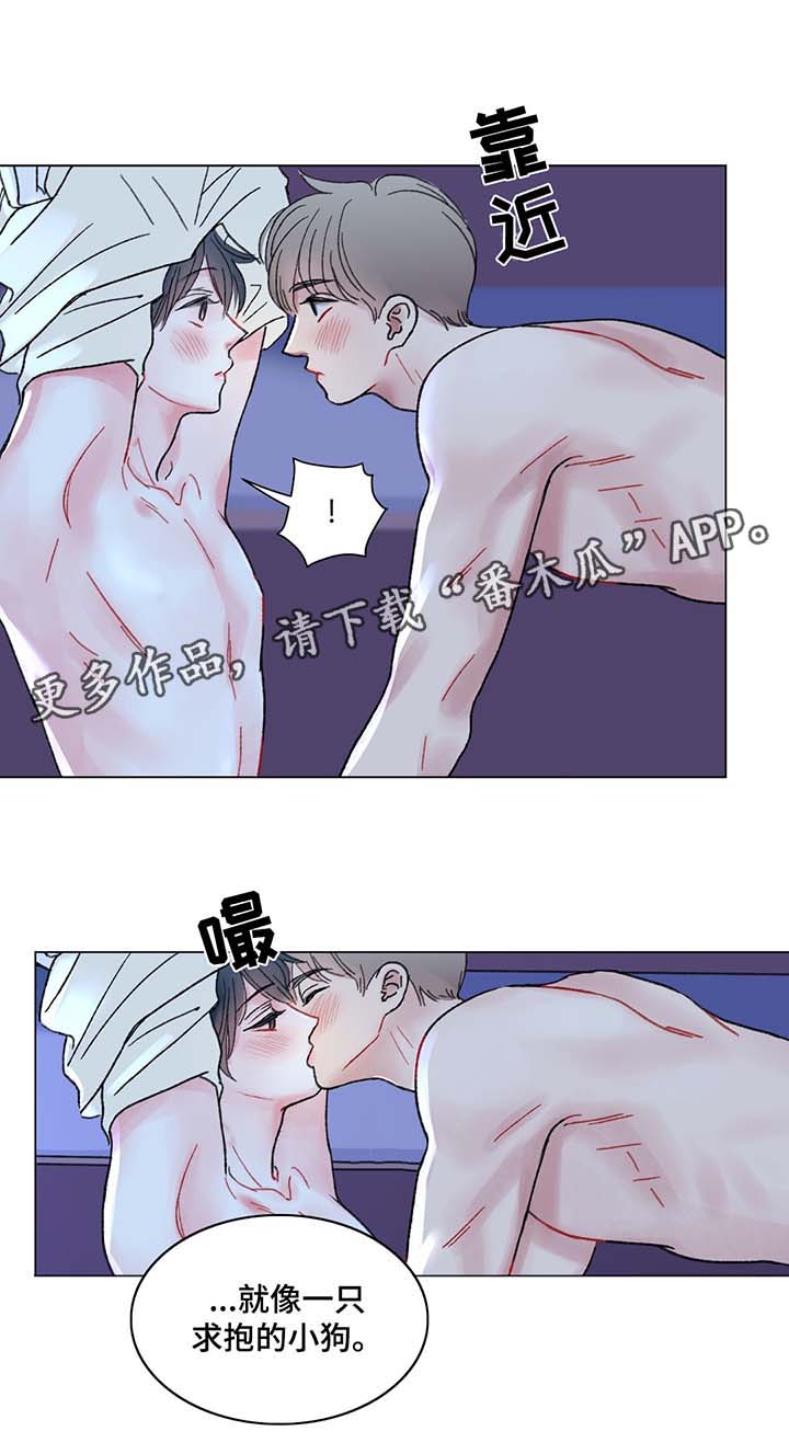 接纳者漫画,第42章：去我房间4图