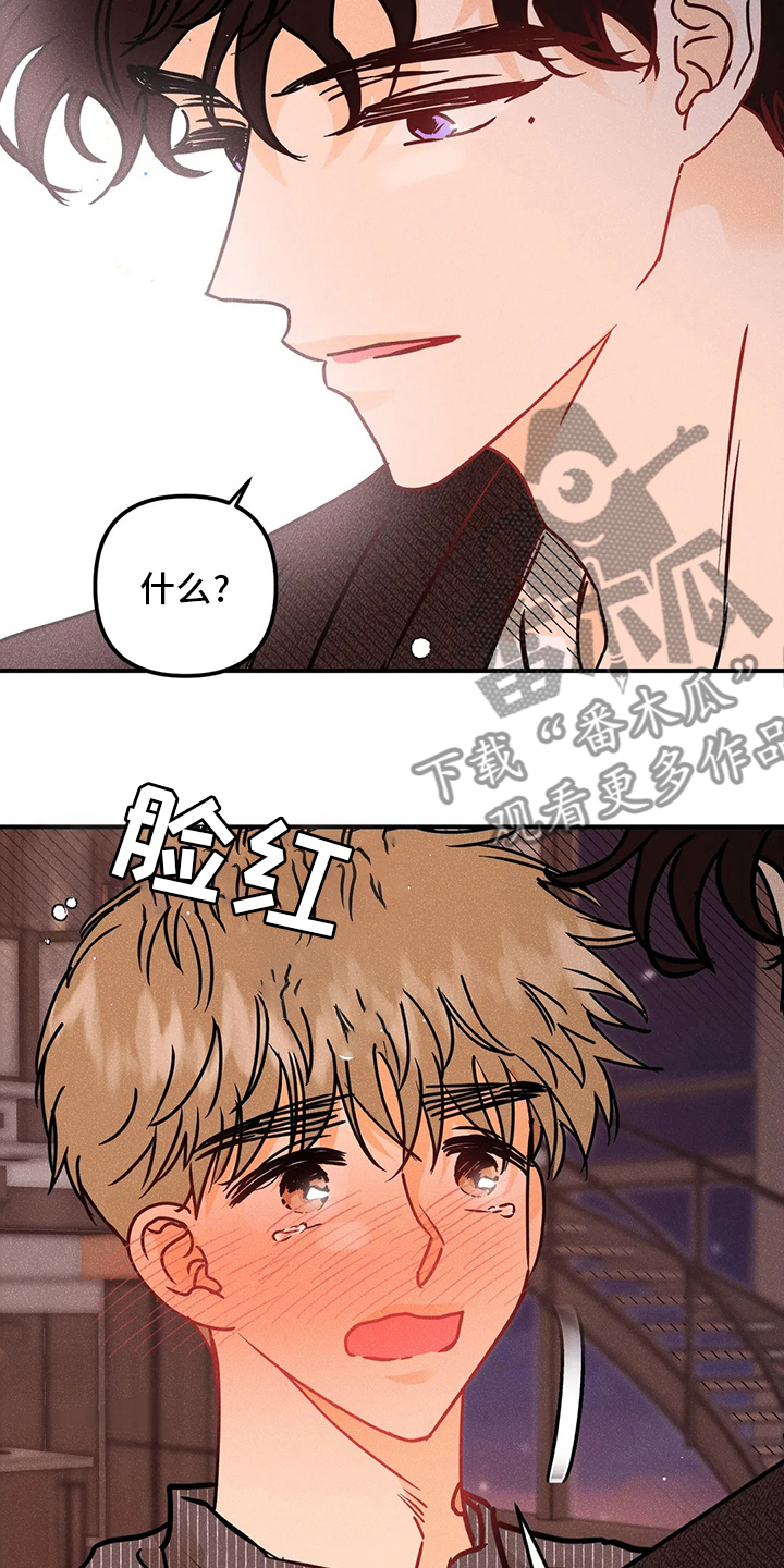 爱的赞歌漫画,第68章：表白4图