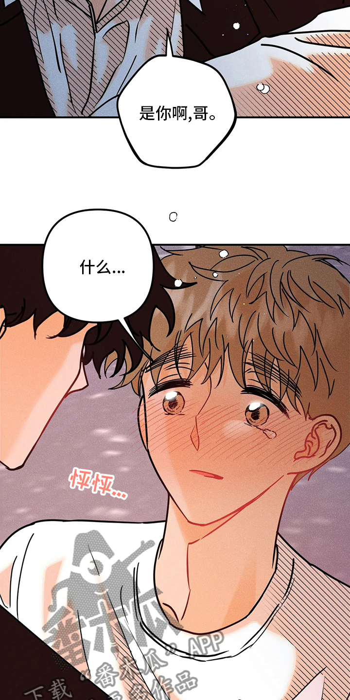 爱的赞歌漫画,第79章：【完结】初恋5图