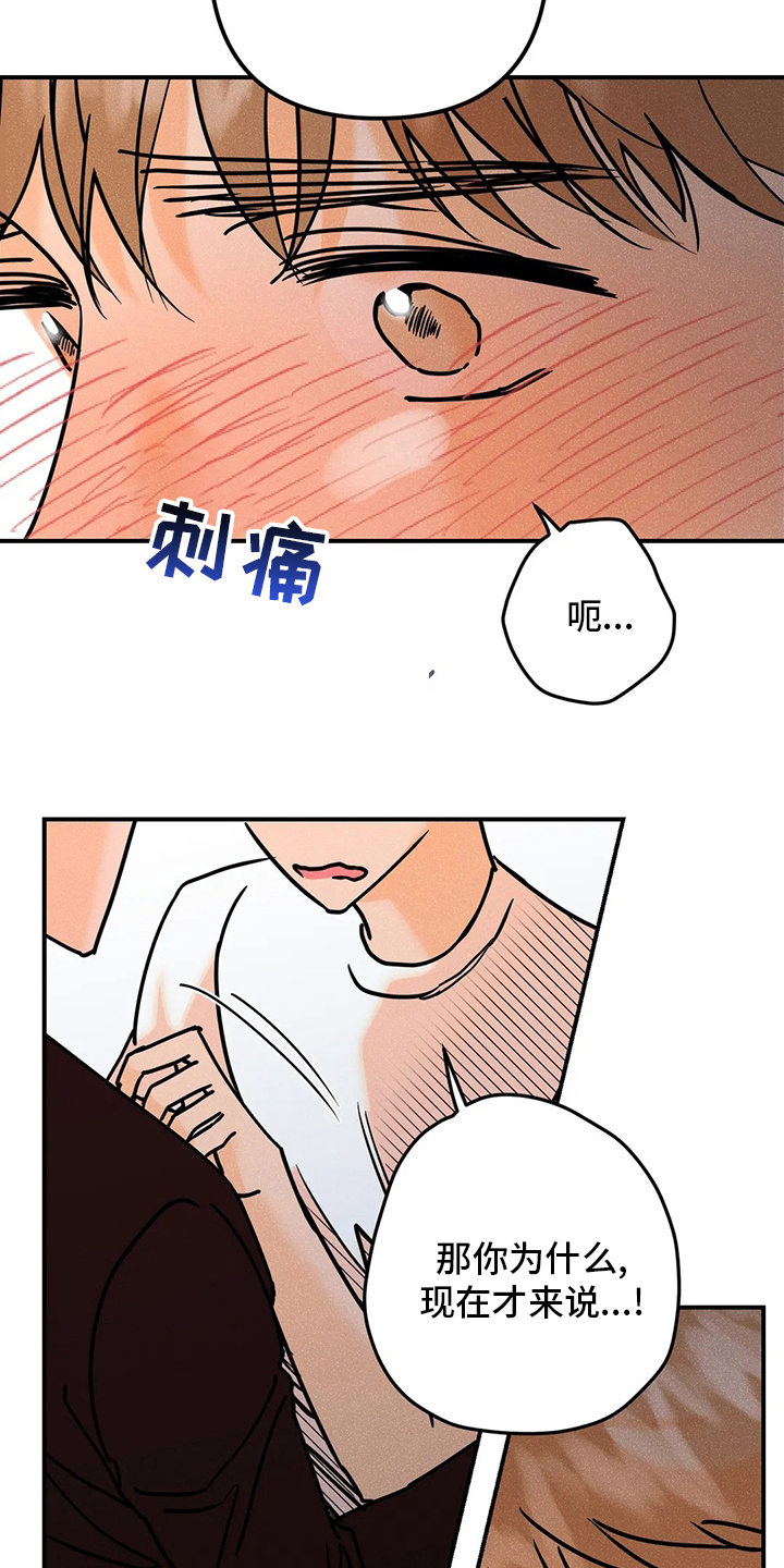 爱的赞歌漫画,第79章：【完结】初恋2图