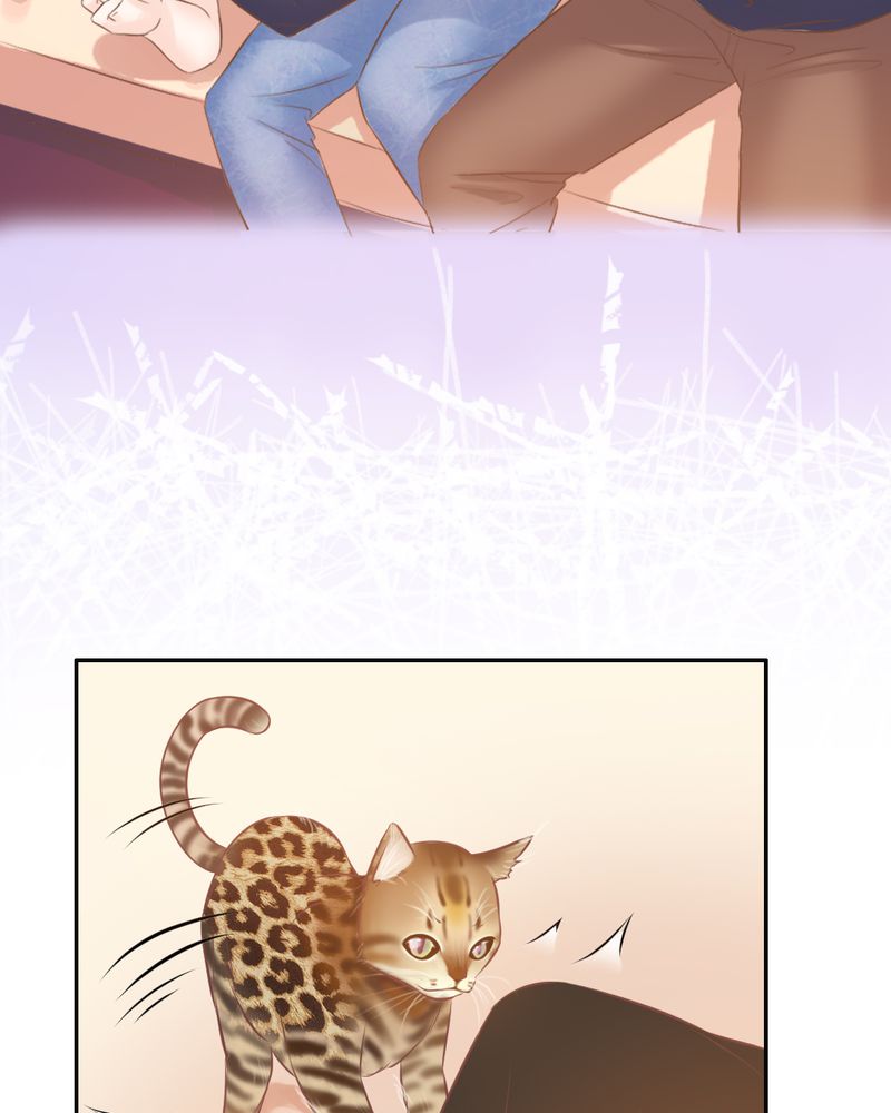 契约凤凰男漫画,第17章：王科表心意3图