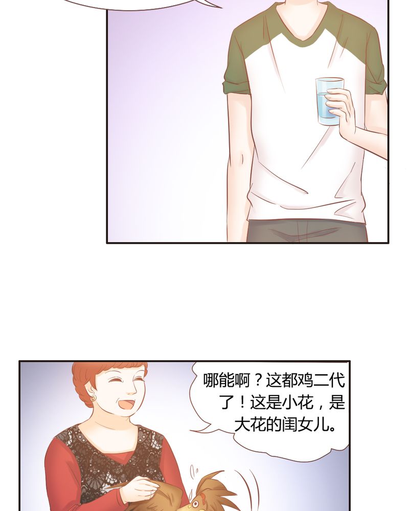 契约凤凰男漫画,第13章：远房亲戚的老母鸡3图