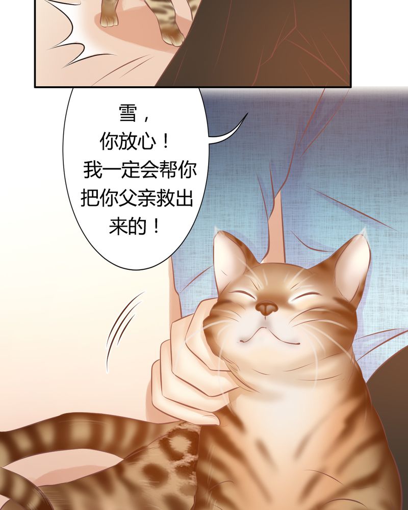 契约凤凰男漫画,第17章：王科表心意4图