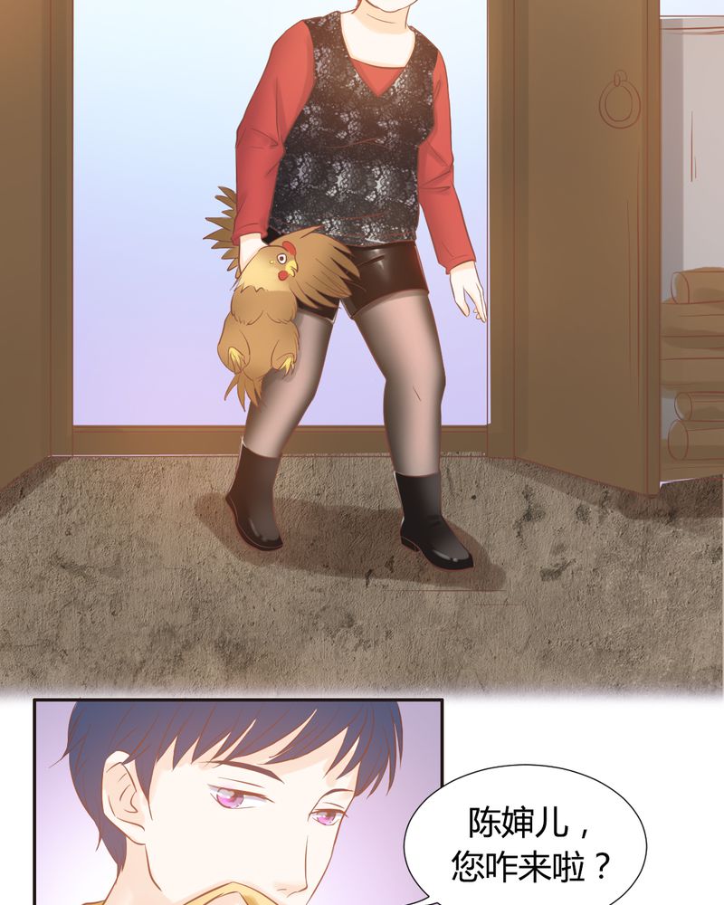 契约凤凰男漫画,第13章：远房亲戚的老母鸡4图