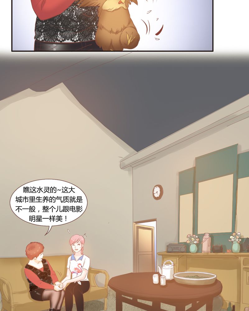 契约凤凰男漫画,第13章：远房亲戚的老母鸡4图