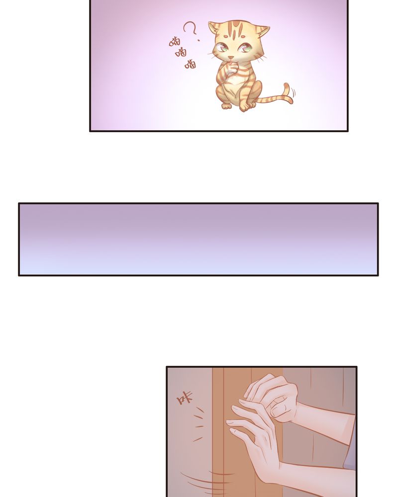 契约凤凰男漫画,第14章：好一个如意算盘2图