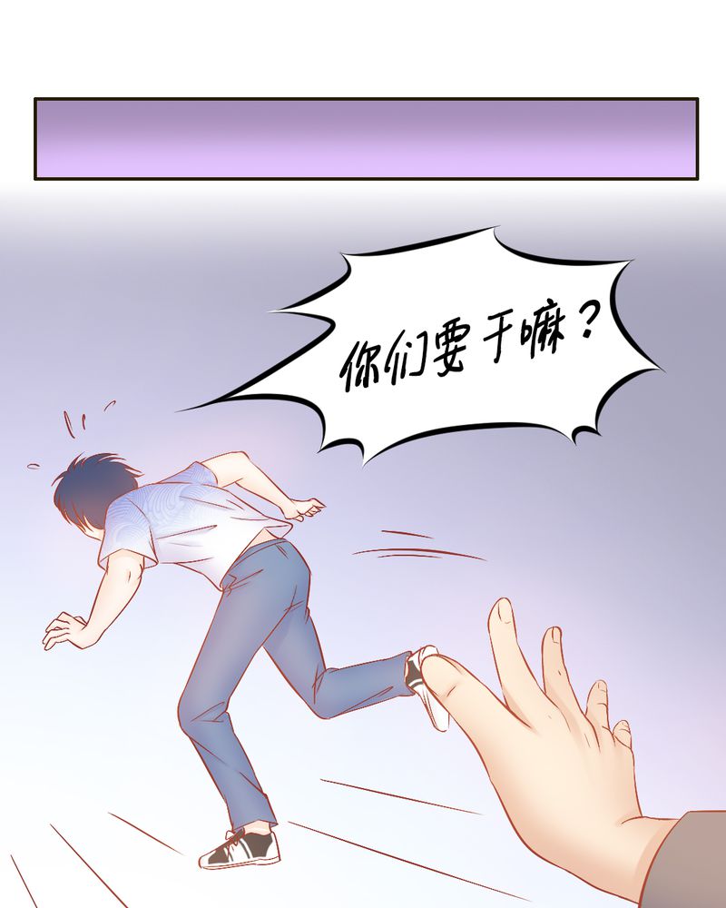 契约凤凰配享太庙漫画,第19章：一切都结束了吗？5图