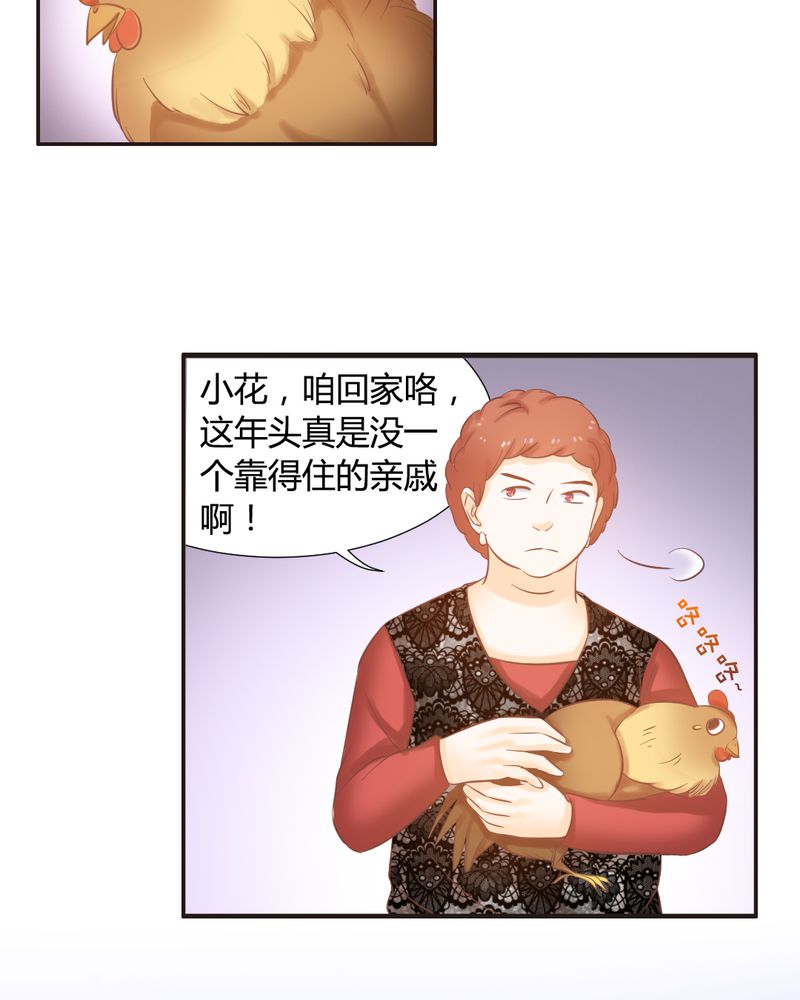 契约凤凰男漫画,第13章：远房亲戚的老母鸡1图