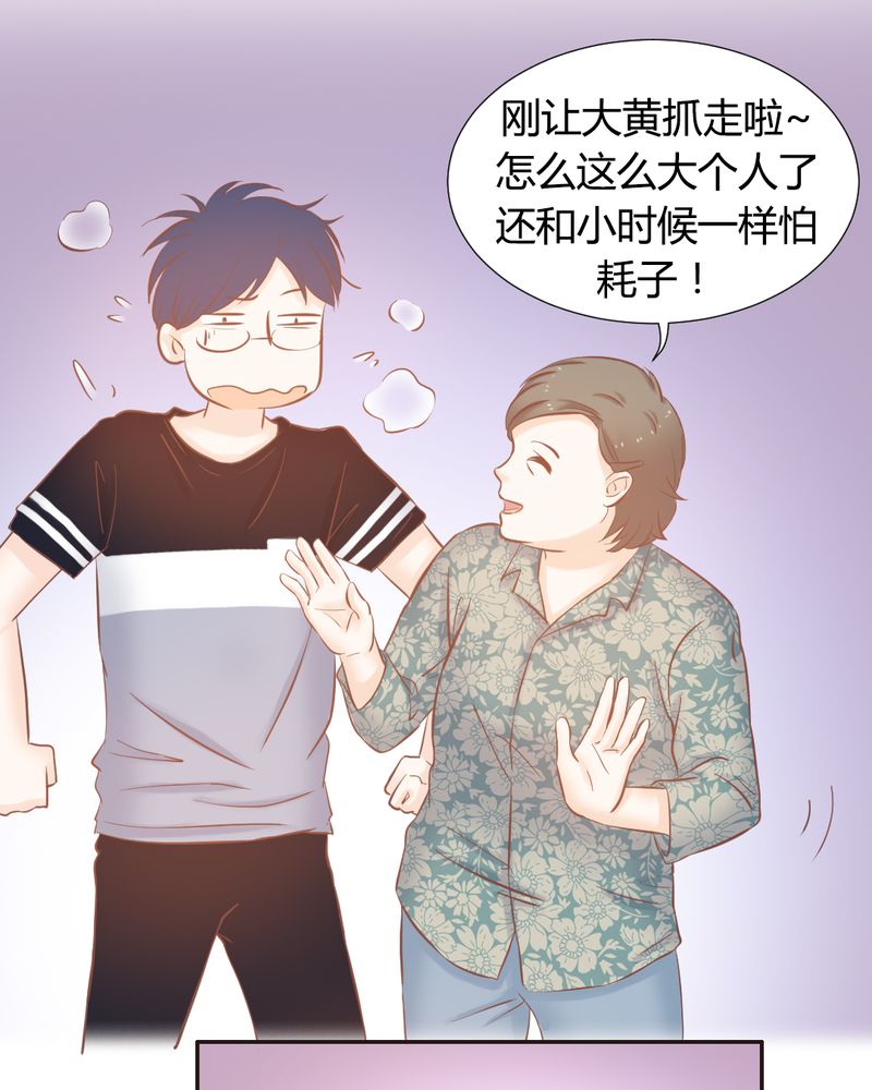 契约凤凰男漫画,第14章：好一个如意算盘1图