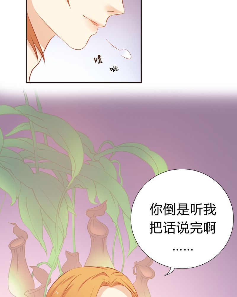 主角契约凤凰的小说漫画,第18章：订婚？3图