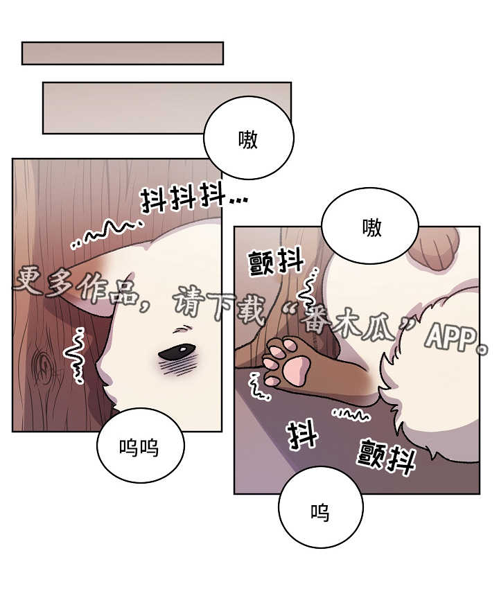 狐狼论剑漫画,第35章：收养1图