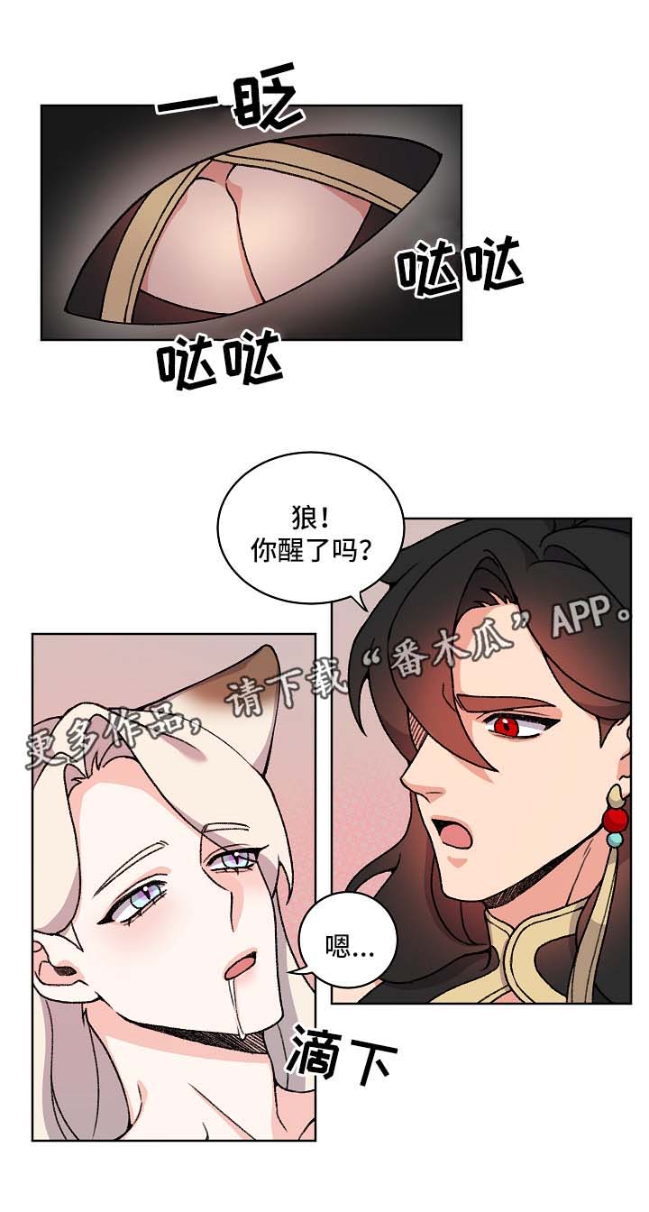 狐狼犬文言文意思漫画,第42章：苏醒1图