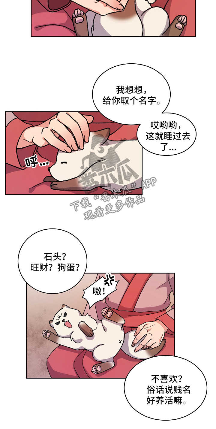 狐狼与狐狸的区别漫画,第35章：收养1图