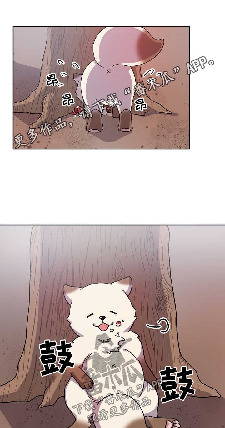 狐狼变漫画,第34章：走丢1图