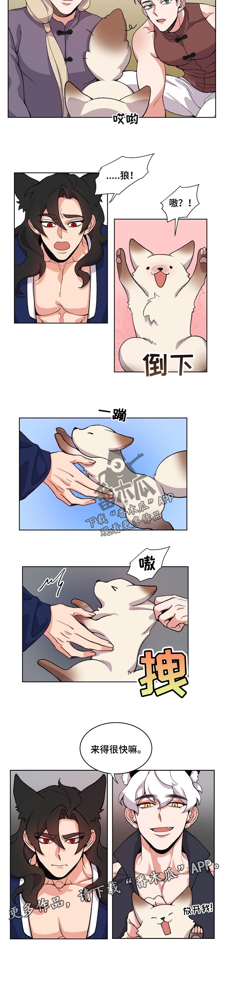 狐狼变漫画,第81章：阴谋1图