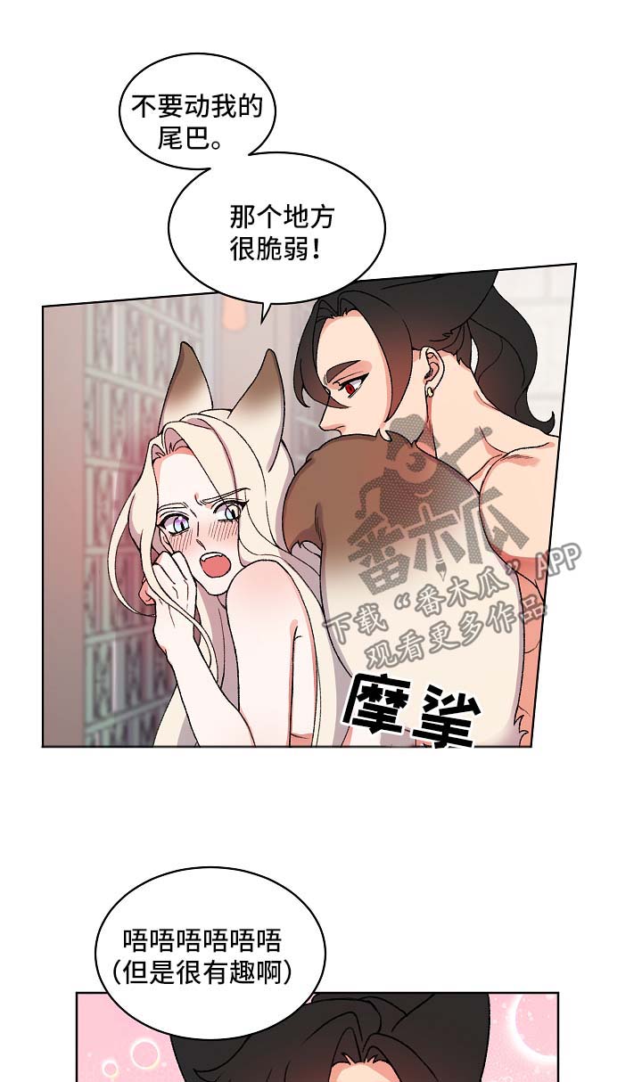 狐狼与狐狸的区别漫画,第22章：尾巴2图