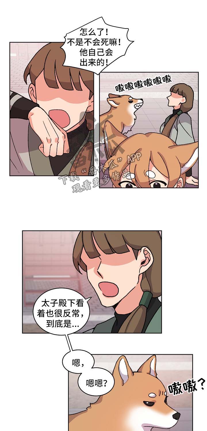 狐狼变漫画,第41章：报复2图