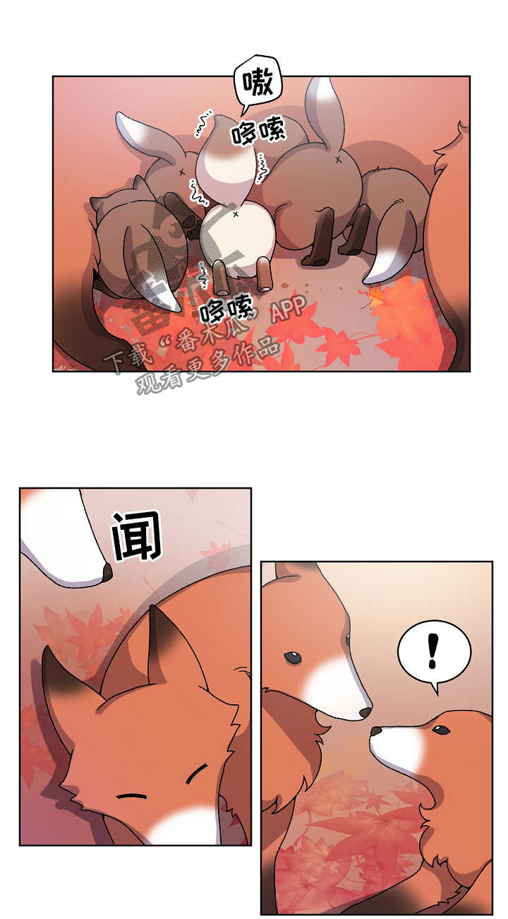 狐狼变漫画,第34章：走丢3图