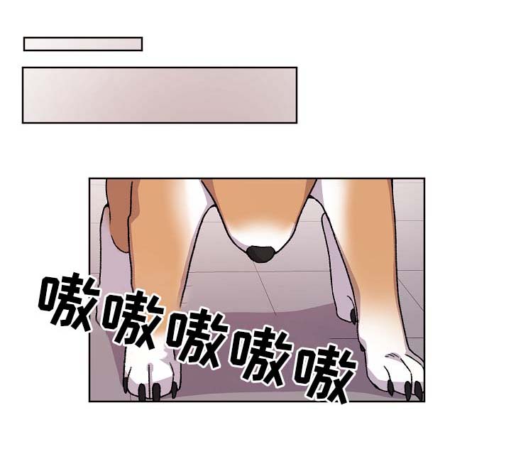 狐狼变漫画,第41章：报复1图