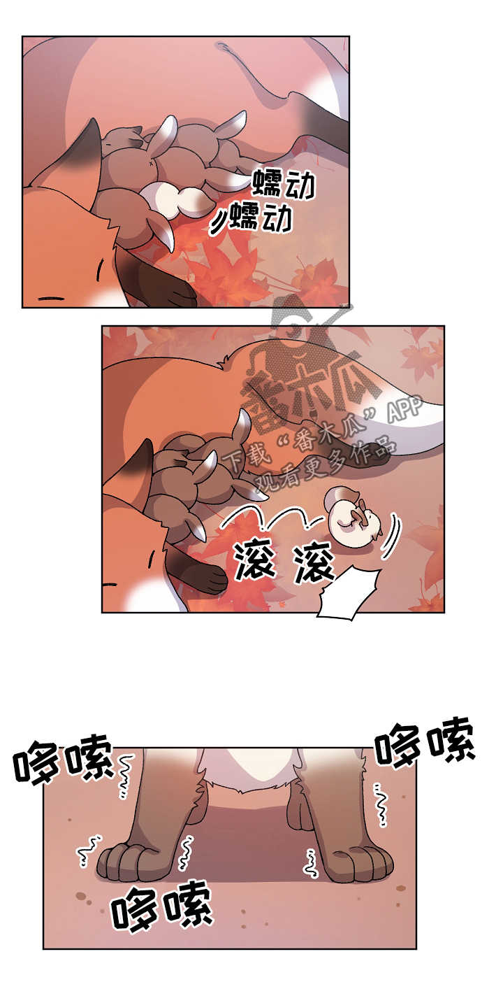 狐狼变漫画,第34章：走丢2图