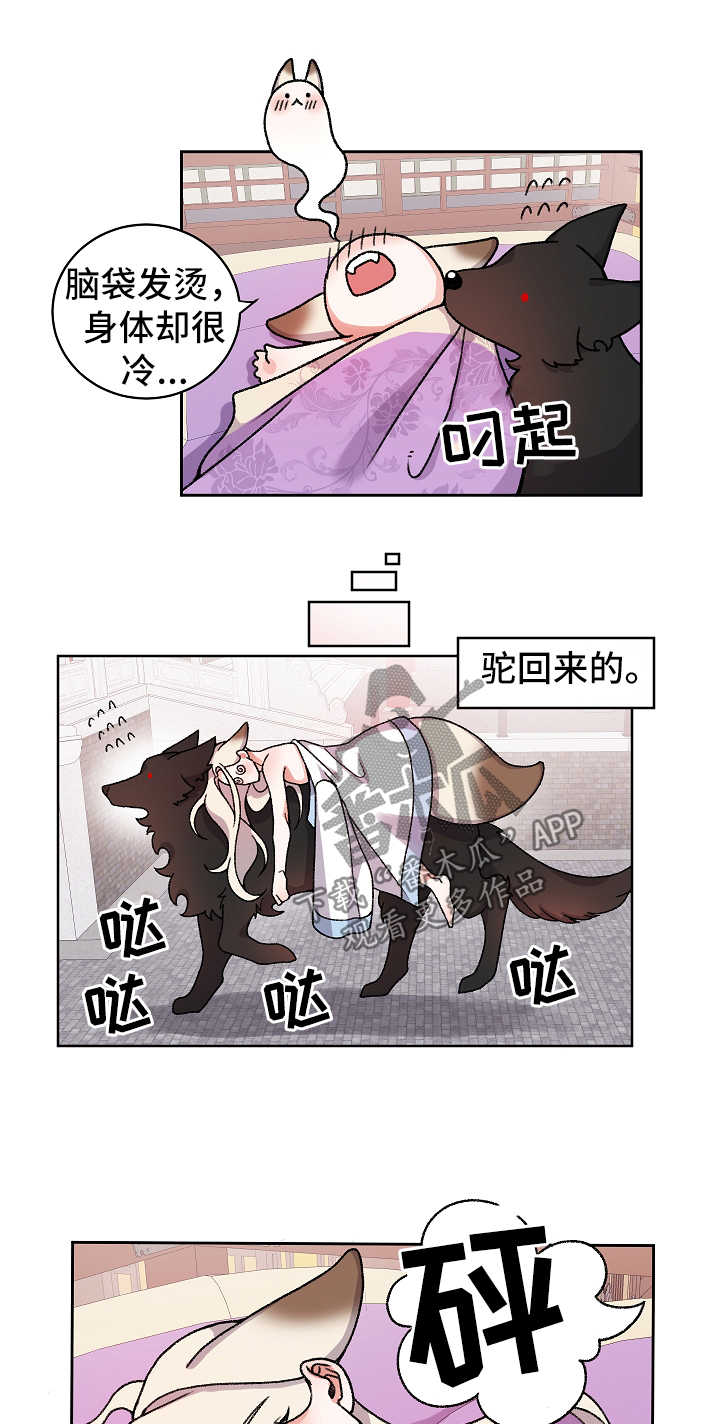 狐狼变漫画,第33章：不回去也可以2图