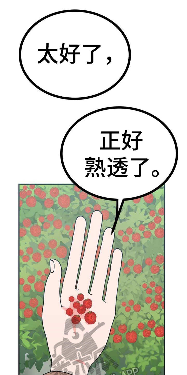 梅中香漫画,第21章：采摘1图