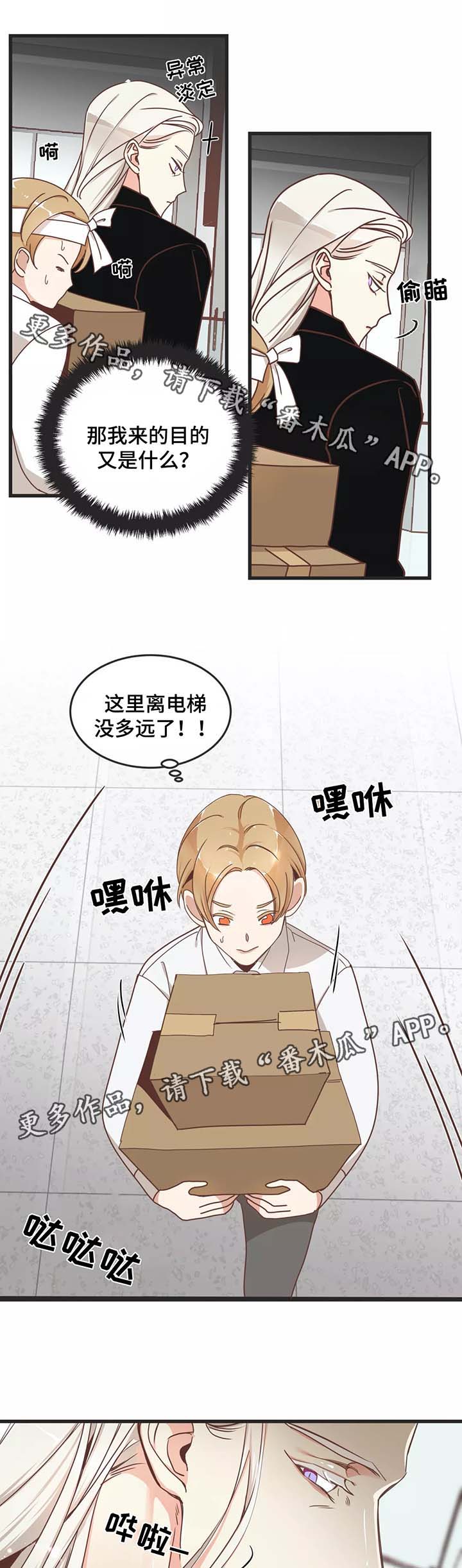 蛇族烙印漫画,第81章：搬东西5图
