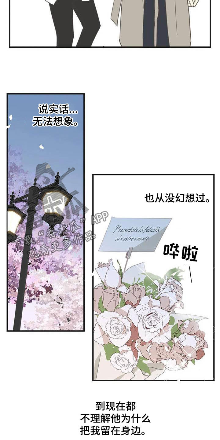 蛇族动漫有哪些漫画,第179章：【番外】撞见2图