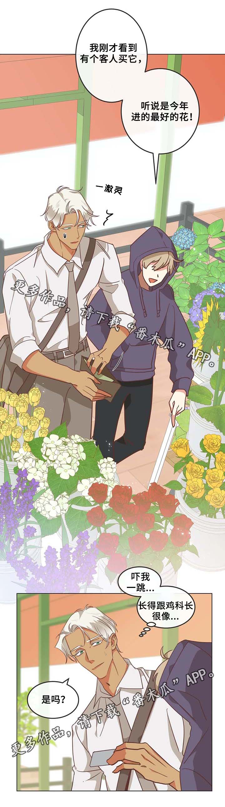 蛇妖漫画,第106章：冤大头3图