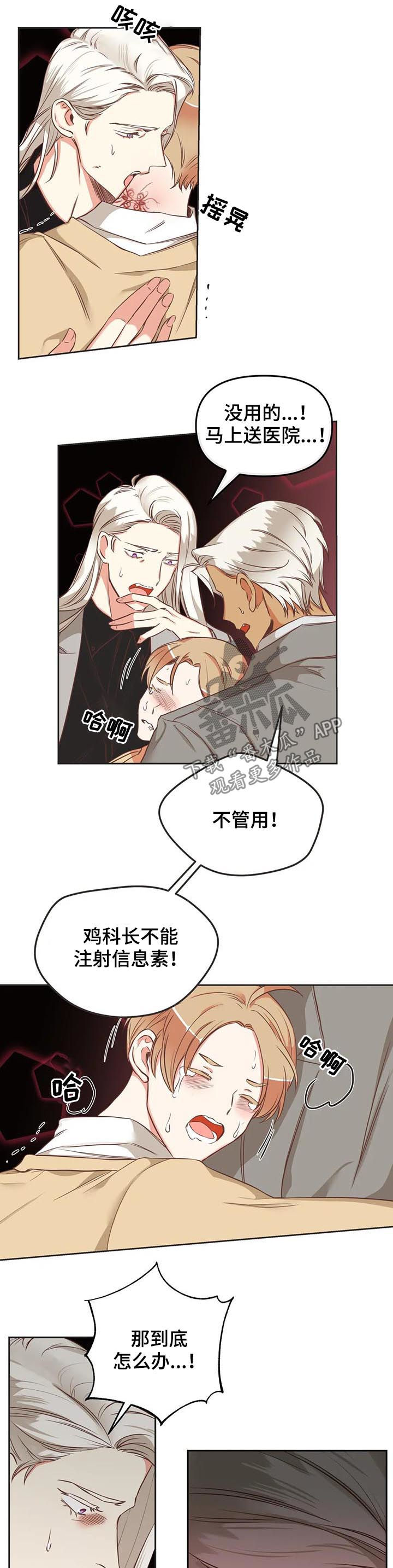 蛇族烙印漫画,第139章：你先出去1图