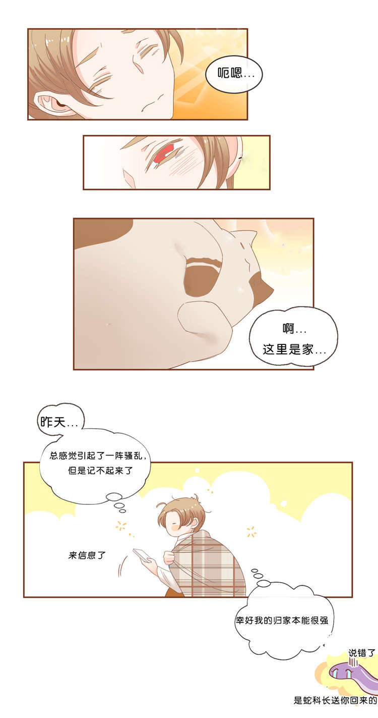 蛇族烙印漫画,第38章：信息5图