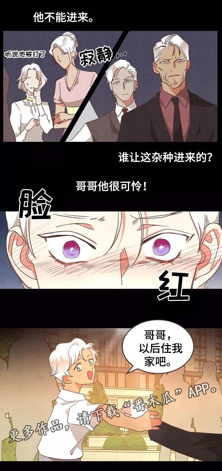 蛇族烙印漫画,第97章：别再插手我的爱情1图