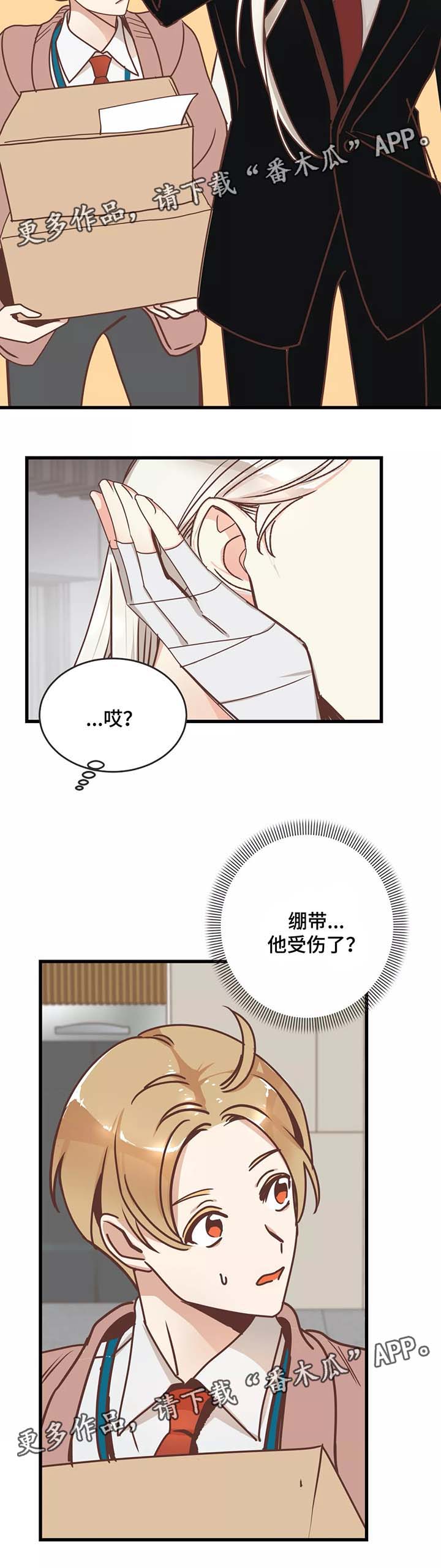 蛇族传说背景介绍漫画,第81章：搬东西2图