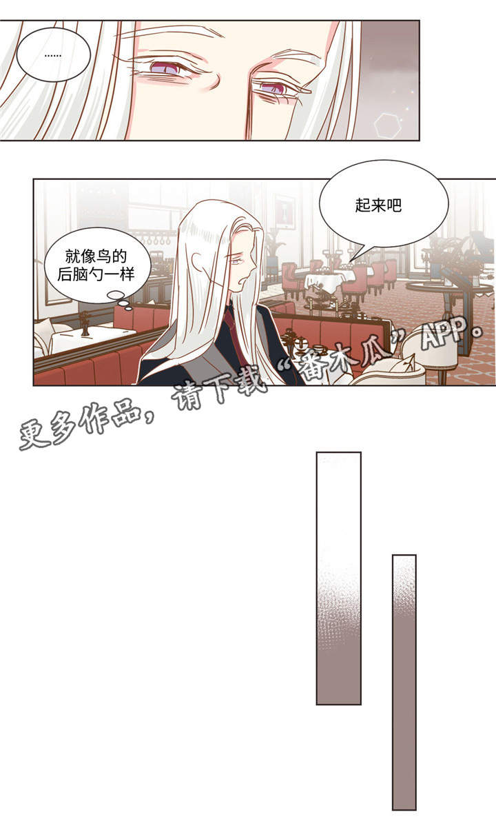 蛇族动漫有哪些漫画,第60章：十个问题5图
