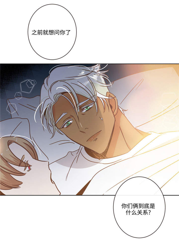 蛇族烙印漫画,第68章：什么关系5图