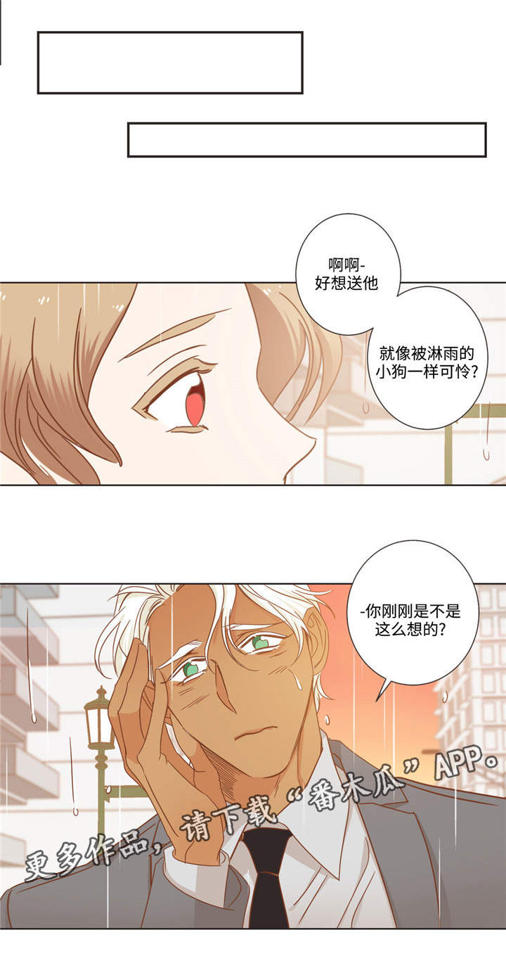 蛇族烙印漫画,第64章：伤心了吗4图