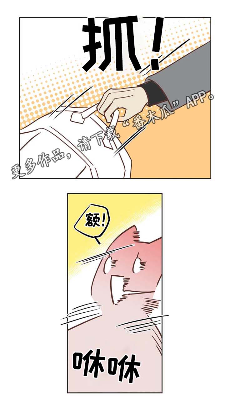 蛇族烙印漫画,第106章：冤大头3图