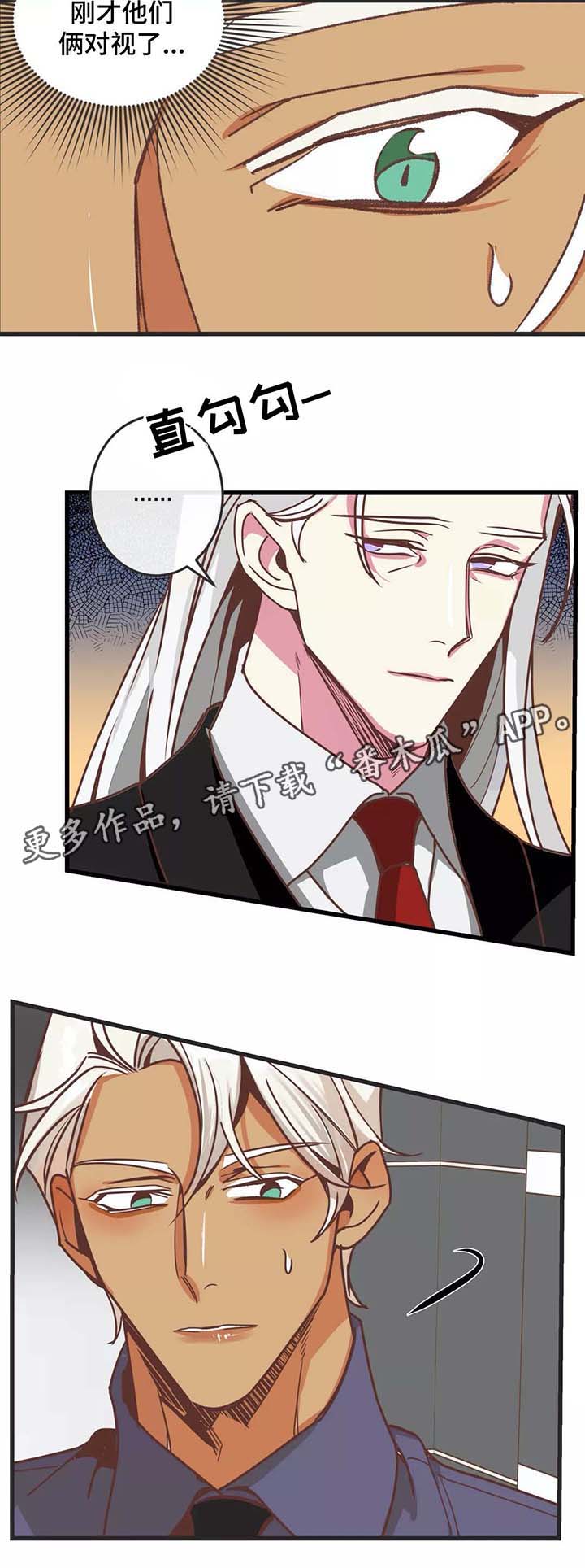 蛇族之女白汀月和柳妄之漫画,第82章：碰面4图