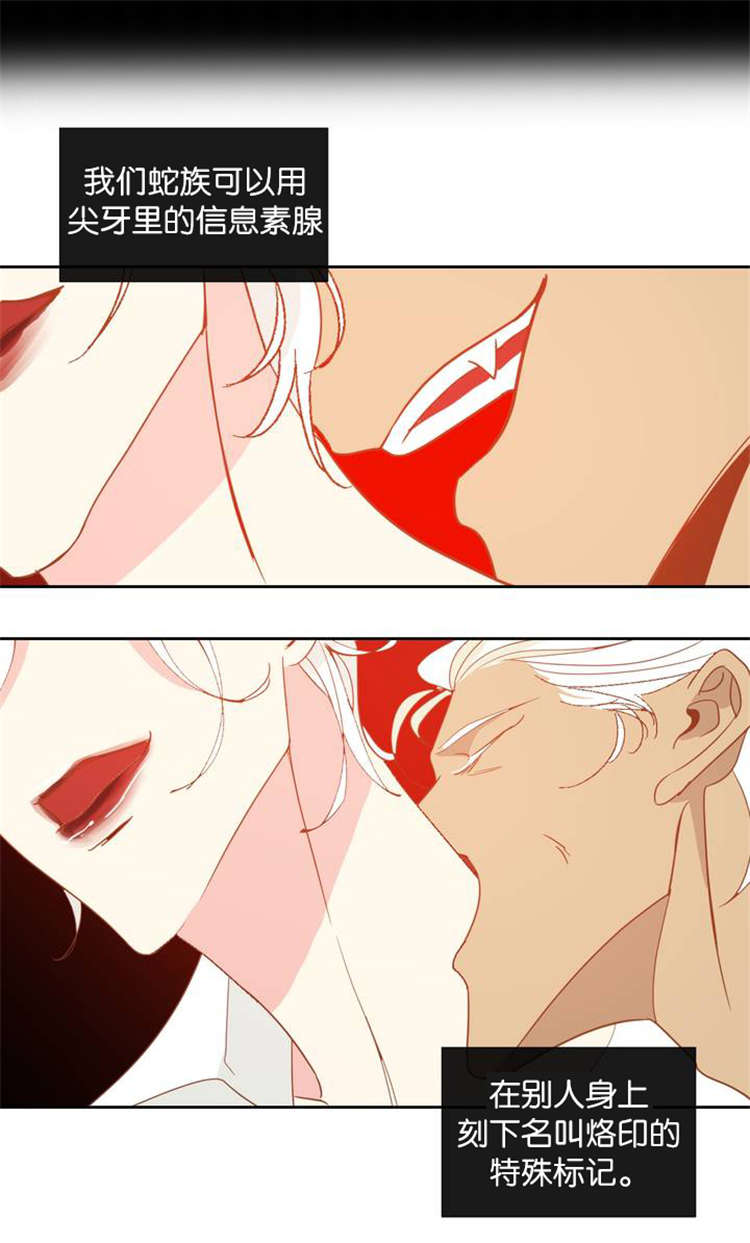 蛇族烙印漫画,第5章：蛇族2图