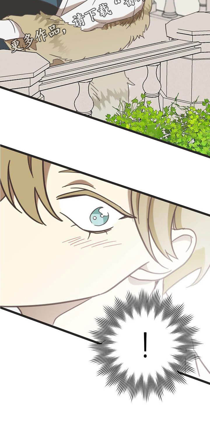 蛇族烙印漫画,第182章：【番外】救场2图