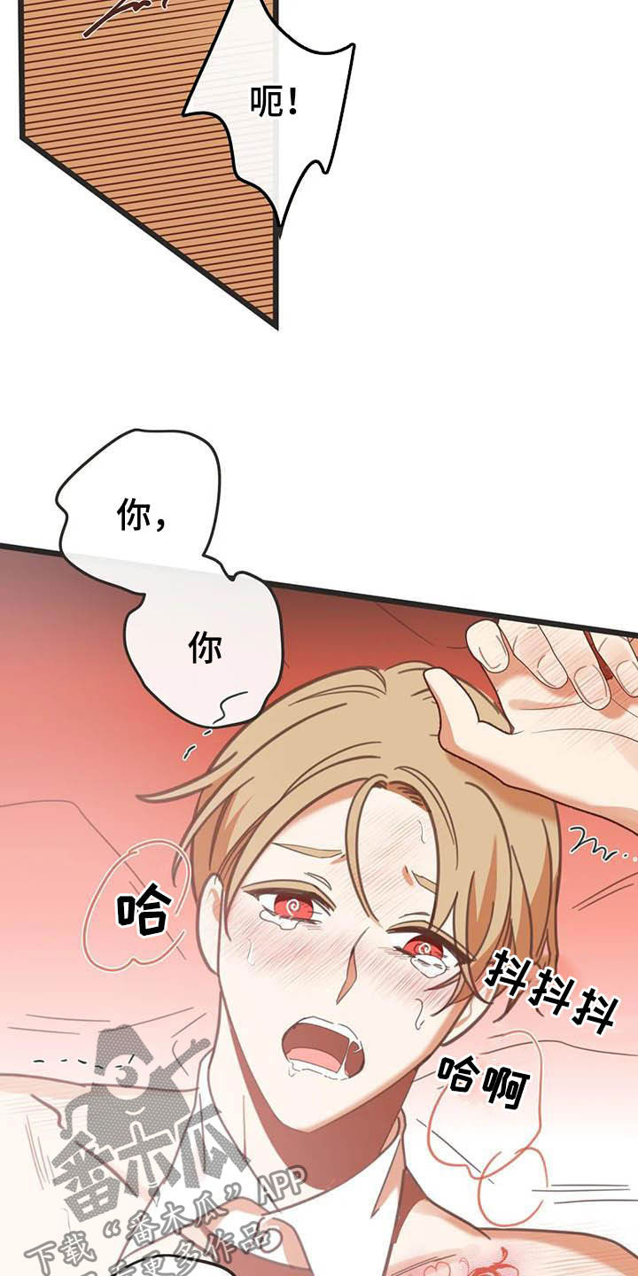 蛇王子漫画,第189章：【番外】礼物3图