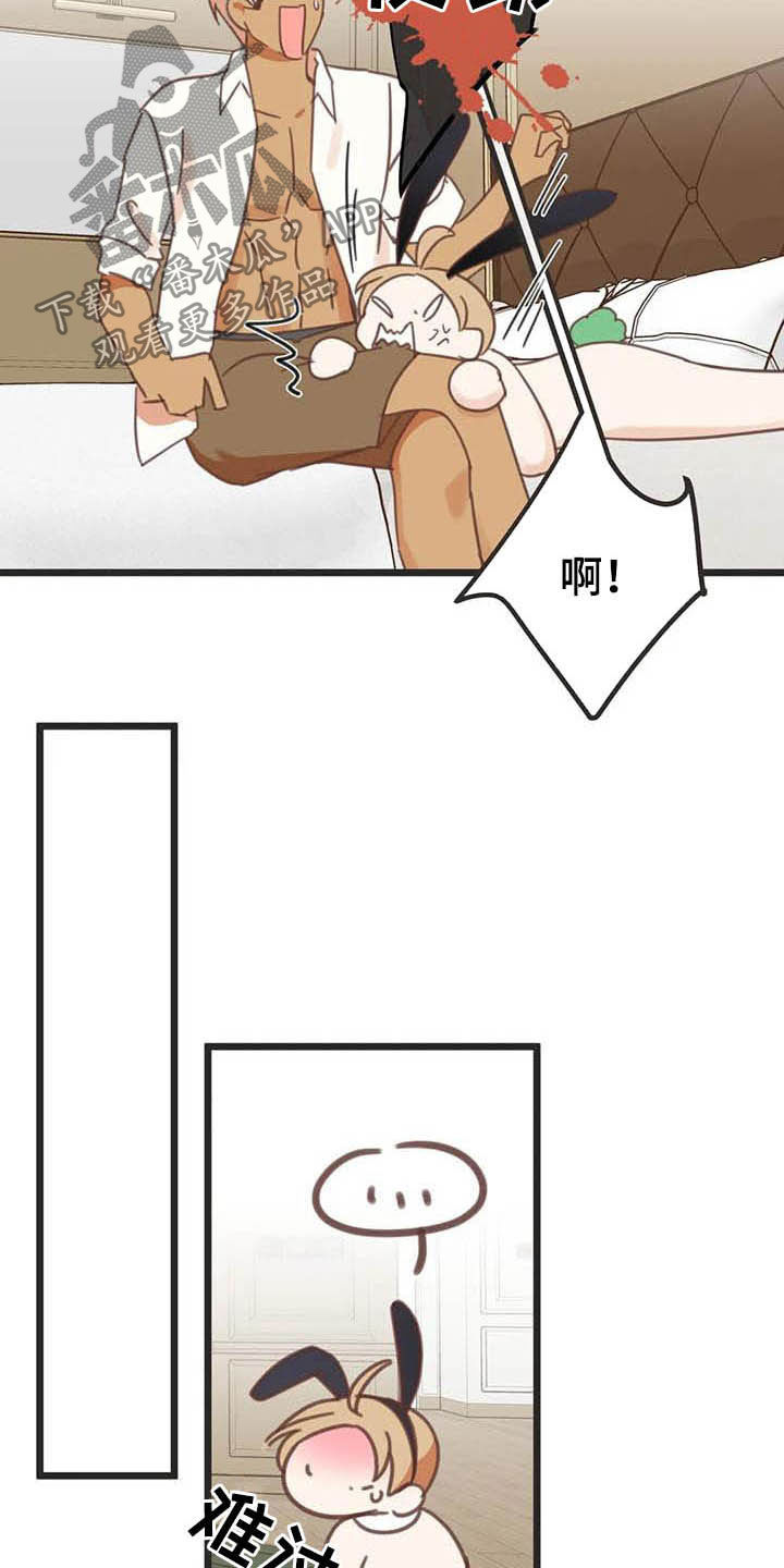 蛇族和神羽族漫画,第188章：【番外】笑死了1图