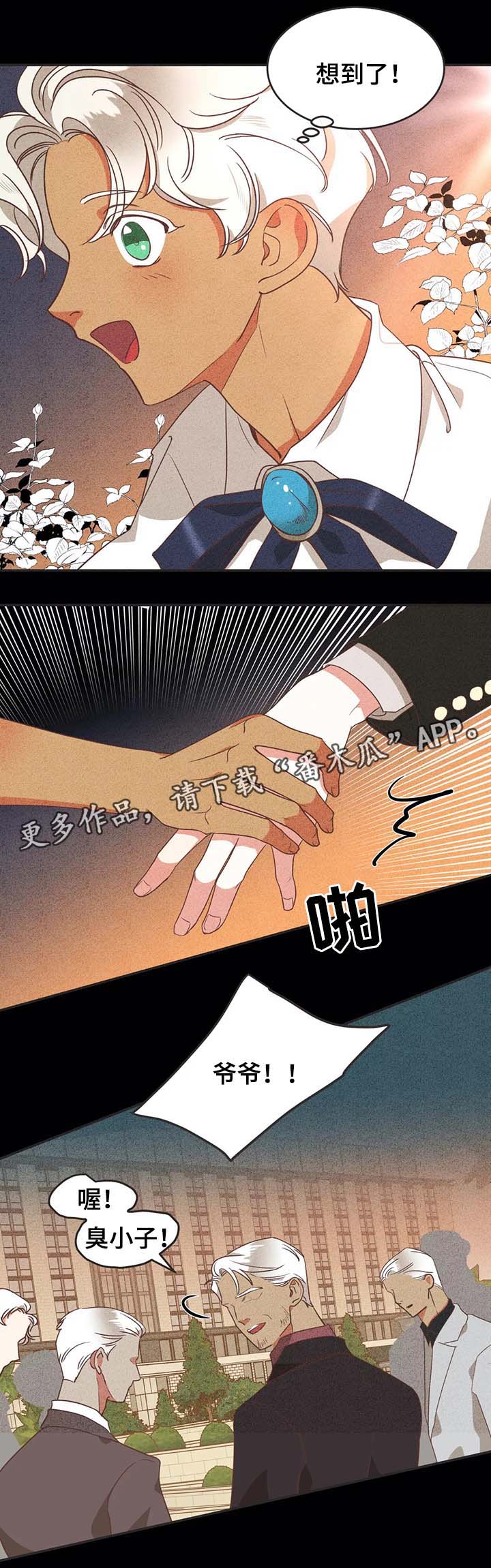 蛇族烙印漫画,第96章：过去的记忆4图