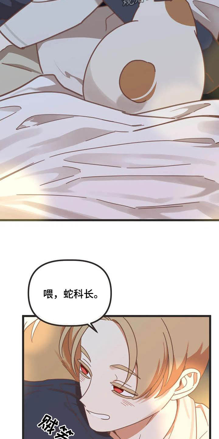 蛇族和神羽族漫画,第186章：【番外】惊喜1图