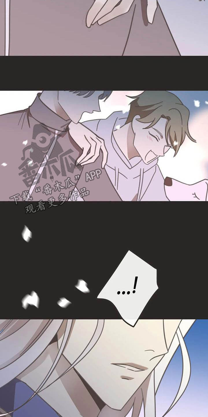 蛇族之女白汀月和柳妄之漫画,第184章：【番外】最好的人2图